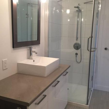 Tres Beau 4 1/2 à louer - Photo 3