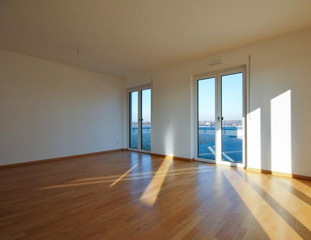 2-Zimmer-Wohnung mit sonniger Dachterrasse - Photo 1