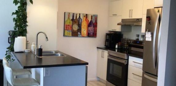 Grand 5 1/2 a louer St-Jérome, a partir du 1 décembre ou 1er janvier. Endroit tranquille avec locataires établies depuis plusieurs année. Parcs a roxi - Photo 2