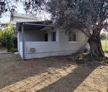 Μονοκατοικία για ενοικίαση Άγιοι Απόστολοι (Κάλαμος) - Photo 2
