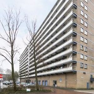 Groenhof, 1186 DL Amstelveen, Nederland - Foto 2