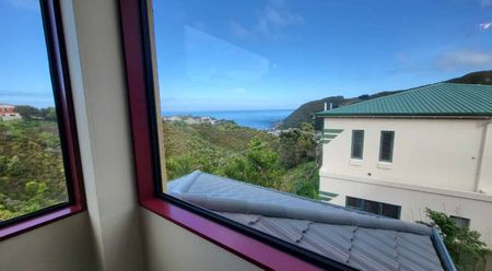 Spacious 5-Bedroom Home with Stunning Ocean Views – 17 Jordan Street, Island Bay - Photo 4