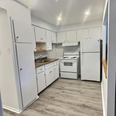 1 CH - 1 SDB - Montréal - $1,275 /mo - Photo 3
