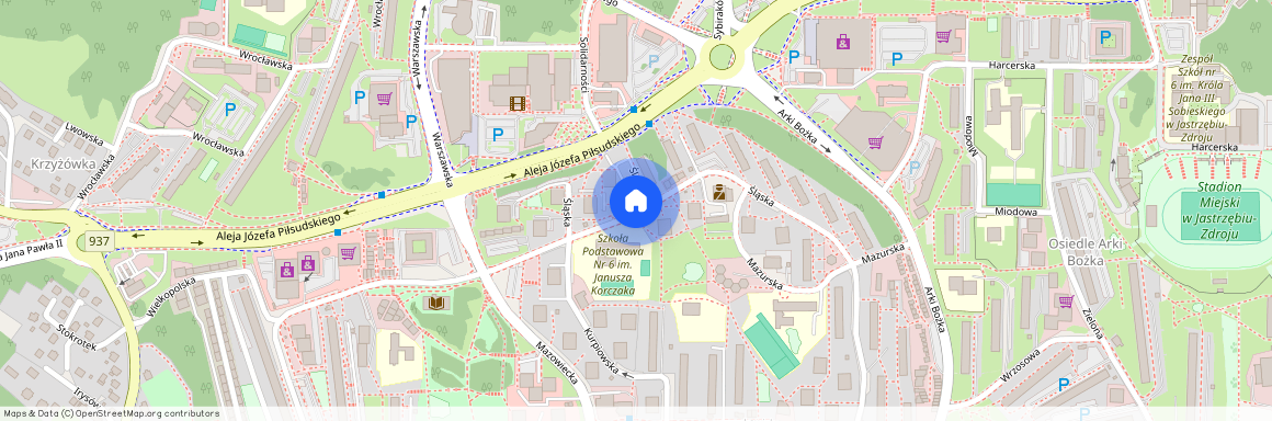 ul. Śląska, Jastrzębie-Zdrój, śląskie