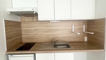 Grand studio rénové - Secteur Pépinière - Photo 3