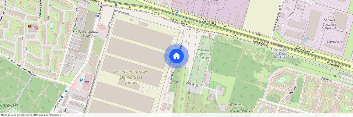 ul. Janowska, Olechów, Widzew, Łódź, łódzkie