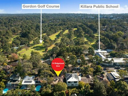 14 Ridgeland Ave, Killara NSW, Belconnen - Photo 5