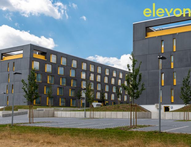 Ausschließlich für Studenten! Einziehen und Wohlfühlen: Möbliertes Apartment in ruhiger Lage - Foto 1