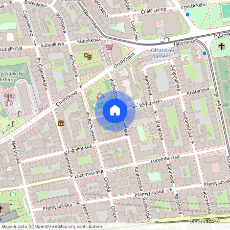 Víta Nejedlého, Praha 3 - Žižkov