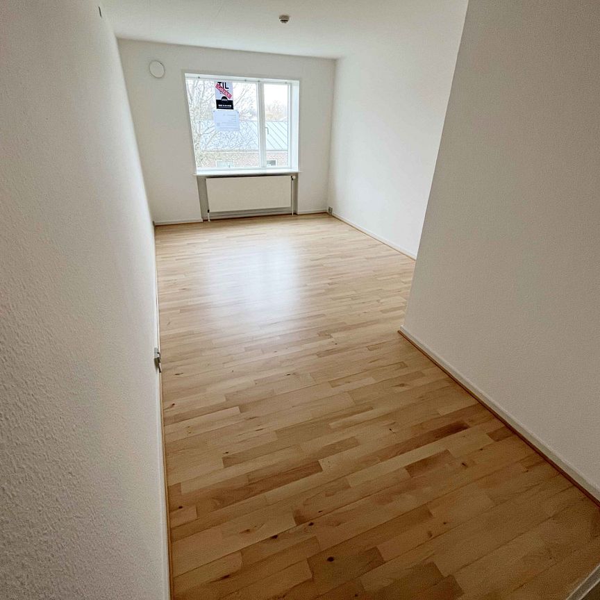 1 værelses lejlighed 44 m² - Photo 1