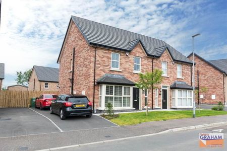 25 Woodbrook Manor, Lisburn, BT28 0AD - Photo 3