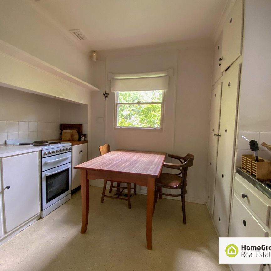 10 Wandoo Street, O'Connor ACT 2602 - House For Rent - $515 | Domain - Photo 1