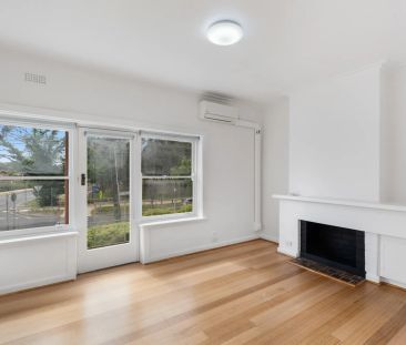 Park Views & Light Filled! - Photo 1