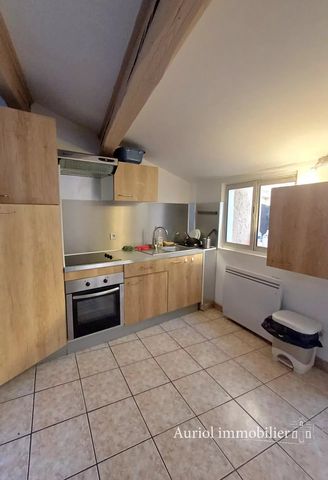 Location Appartement 48m² AURIOL 13390 - Photo 5