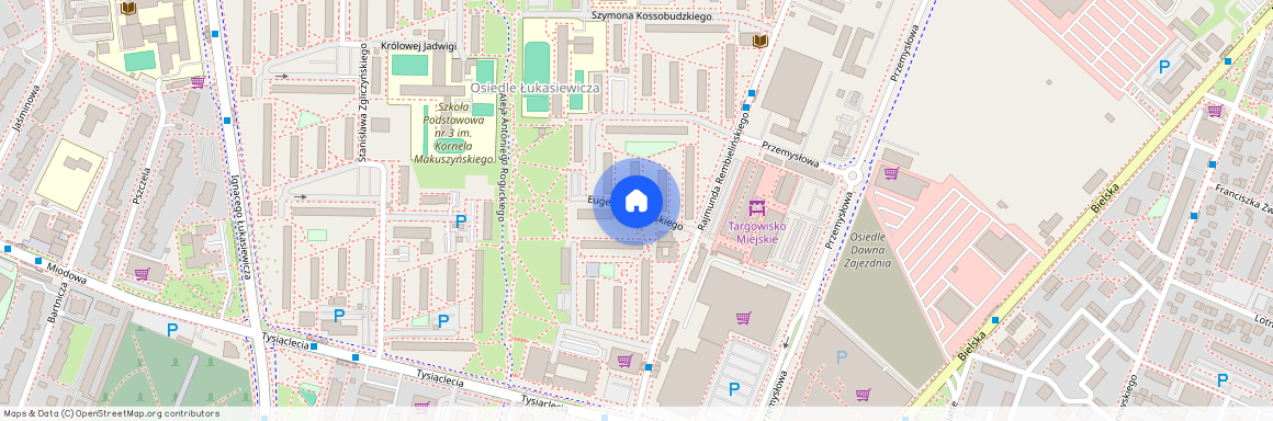 ul. Zygmunta Wolskiego, Płock, mazowieckie