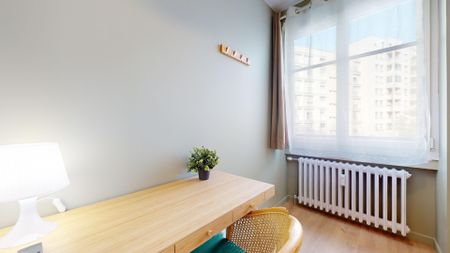 CHALLEMEL LACOUR Colocation 5 chambres à Lyon 7e - Photo 2