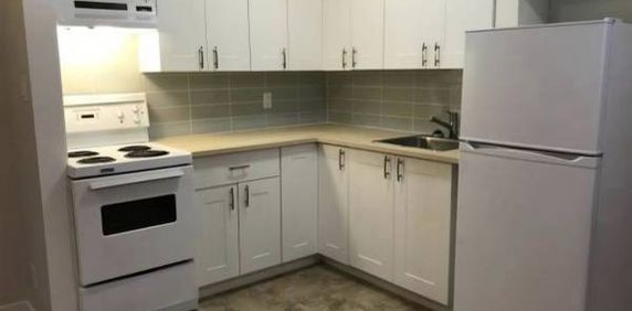 Beautiful renovated pet friendly unit - Photo 2