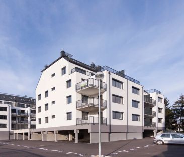 Moderne 2-Zimmer Wohnung in zentraler Lage - Photo 6