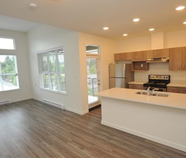 Beautiful 2 Bed, 2 Bath Corner Unit Available October 1st – Cat Fri... - Photo 1