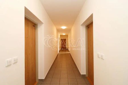 Pronájem bytu 1+kk/L, 42 m - Fotografie 3