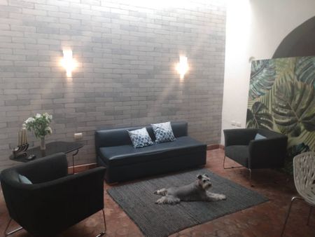 4 Bedrooms with Garage – 2 Blocks from Paseo - Photo 4