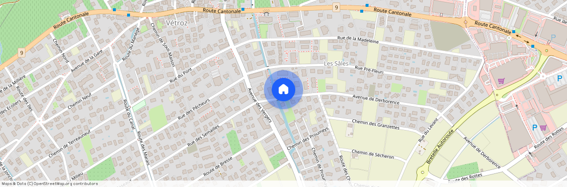 Avenue De Derborence 46, 1963 Vétroz