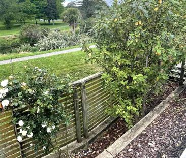 Great Location - Photo 4