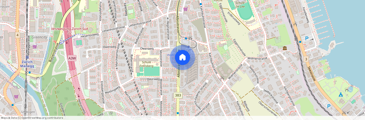 8038, Zürich, Albisstrasse, 113