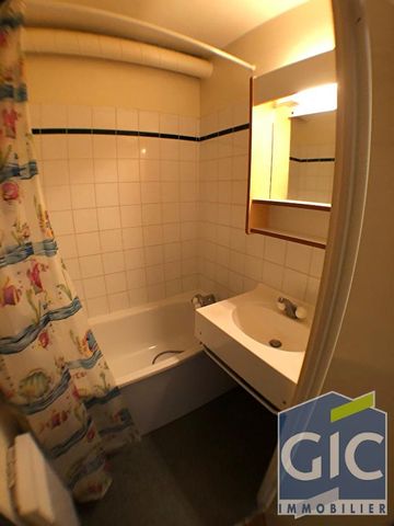 Location Appartement 1 pièce 18m² - Photo 3