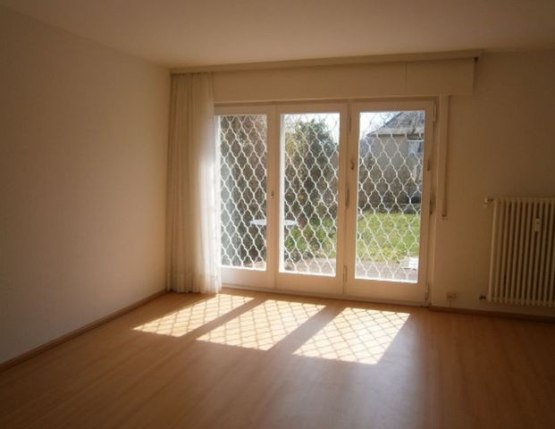 Helle 1,5-Zimmer-Wohnung mit Terrasse frei zum 15.02.2025 - Photo 1