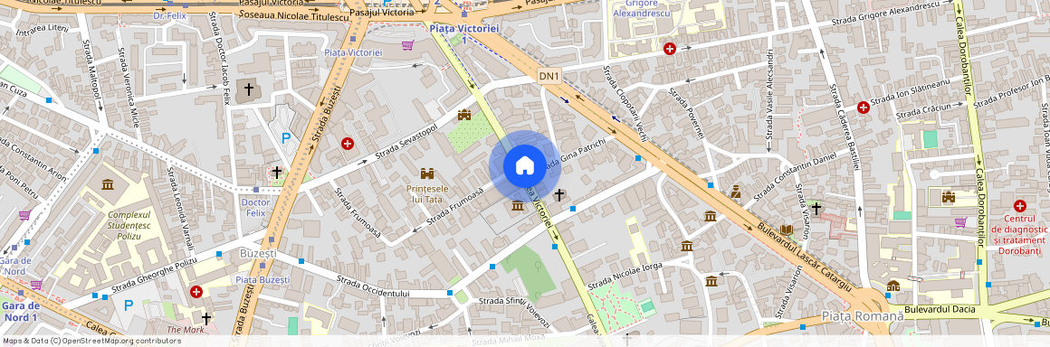Strada Gina Patrichi, Victoriei, Sectorul 1, Bucuresti