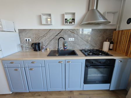 Apartment for Rent in Cluj-Napoca, 5 minute walk from the University of Veterinary Medicine and Agricultural Sciences USAMV, one bedroom, one livingroom - Photo 3