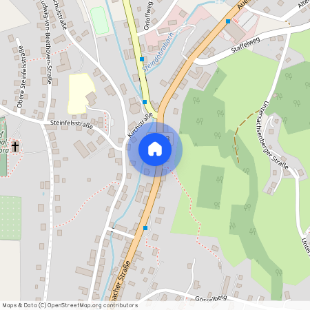 Auerbacherstraße 137, 08248 Sachsen - Klingenthal