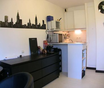 Appartement 1 pièce à Illkirch-Graffenstaden - Photo 2