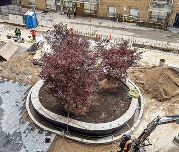 For Lease - 110 Broadway Avenue Unit# 314, Toronto, Ontario - Photo 4