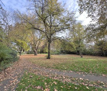 Flat share to rent - Photo 4