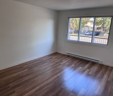 8321 Boul. Maurice-Duplessis, H1E 3B5, H1E 3B5, Montréal - Photo 2