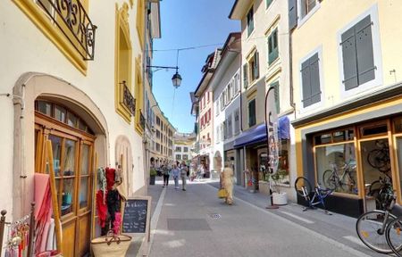 Charming 3.5 room apartment on the 3rd floor - Photo 4