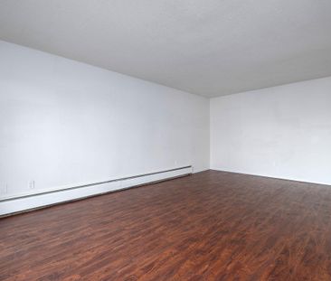 1 Bedroom - Renovated - Photo 2