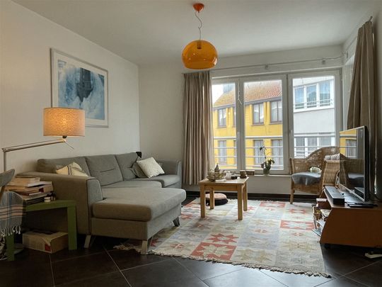 Gemeubeld appartement met 1 slaapkamer - Foto 1