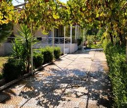 Μονοκατοικία για ενοικίαση - Ερέτρια, - Photo 6