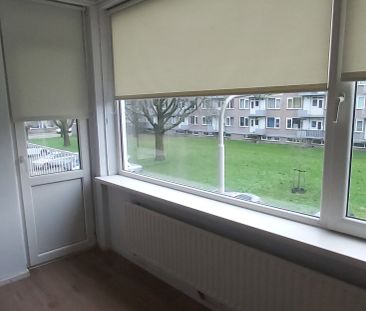 Te huur: Studio Europalaan in Tilburg - Foto 2