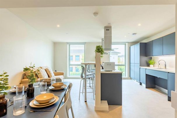 Studio to rent - Photo 1