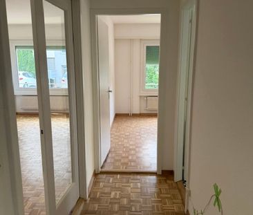 2.5 Zimmer, EG - Photo 3