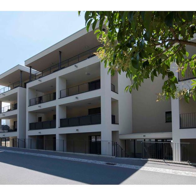 Gudo, affitto 2.5 locali con terrazzo - Photo 1