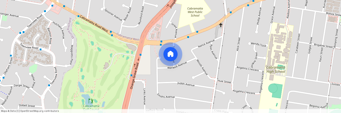 11A Towers Street, NSW 2166, Cabramatta