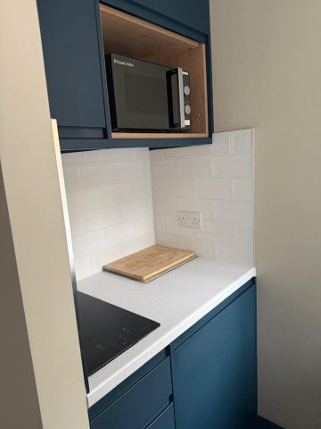 Studio Flat, Hunter Street, WC1N - Photo 5