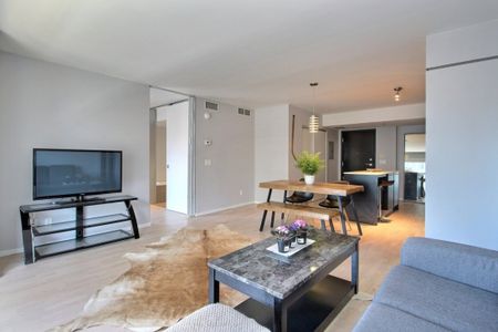 Appartement à louer - Montréal (Ville-Marie) (Centre) - Photo 4