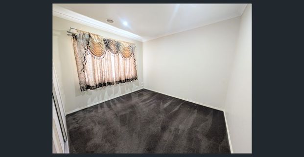 Fit For The Whole Family! - Photo 1