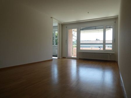 2.5 Zimmer, 57 m², 1. Stock - Foto 3